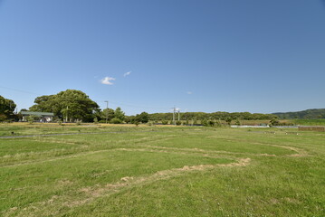 公園の芝生の広がる広場