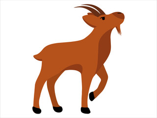Goat Background Illustration for Qurban