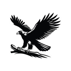 Obraz premium Hawk Animal black silhouette vector with white color background