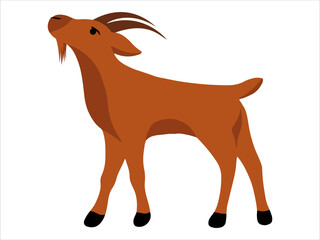 Goat Illustration for Eid Al Adha