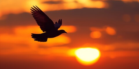 Fototapeta premium Silhouetted bird in flight captures the mesmerizing beauty of a vibrant orange sky at sunset, symbolizing freedom, elegance, and the serene transition from day to night.
