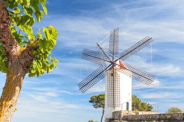 Beautiful white windmill with a black roof against the background of the sky and palm leaves. Mahon...