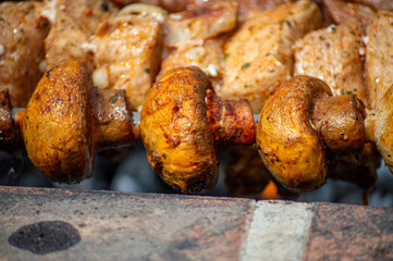Grilled pieces of pork meat and mushrooms on metal skewers. Shashlik or shish kebab prepared on barbecue grill over hot charcoal with grilled vegetables.