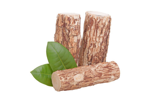 Thanaka Wood on Transparent png