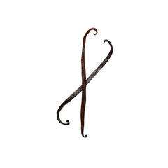 Obraz premium TRANSPARENT PNG ULTRA HD 8K A pair of vanilla pods elegantly arranged, showcasing their slender shape, rich brown color, and aromatic potential