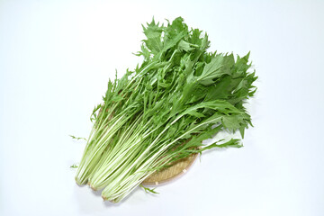 竹ざるに置いた水菜 白背景