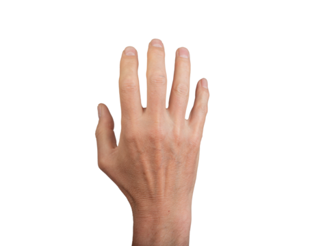 Male hand with fingers apart, showing a gesture of hello or goodbye. Isolated on a white background, dorsal view. Ideal for communication and medical anatomy concepts., transparent PNG - Powered by Adobe