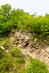 Mountain rocks in green vegetation as a background. Texture