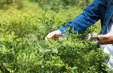 Smart farmer or organic farming 
Check Chili Product Quality Control Digital information technology concepts for smart agriculture