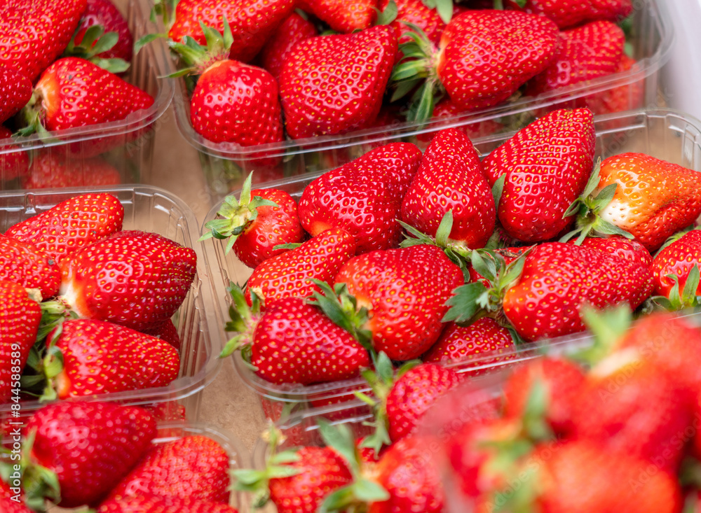 Wall mural red ripe strawberries as a background