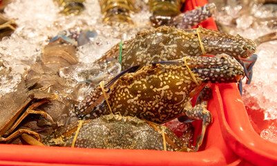 Crabs in ice at the market