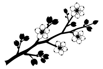 cherry blossom flower silhouette vector illustration