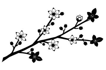 cherry blossom flower silhouette vector illustration