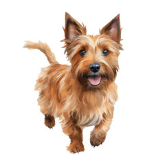 Watercolour Illustration of  Australian Terrier Dog Clipart