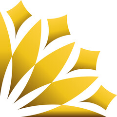 Luxury golden geometric ornament design