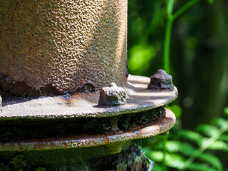 Close-up of rusted industrial pipe with bolts, surrounded by lush foliage in a forest setting
