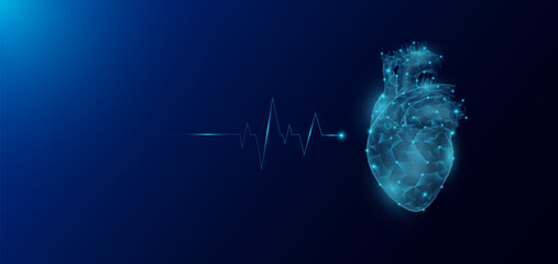 Heart human organ anatomy in form style polygon low poly futuristic and pulse wave glowing. Medical science template banner with empty space for text. Vector EPS10 illustration.