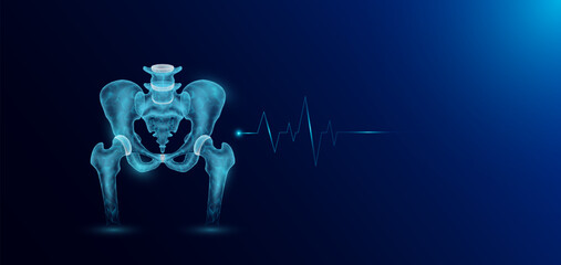 Pelvis bone human organ skeleton anatomy in form style polygon low poly futuristic and pulse wave glowing. Medical science template banner with empty space for text. Vector EPS10 illustration.