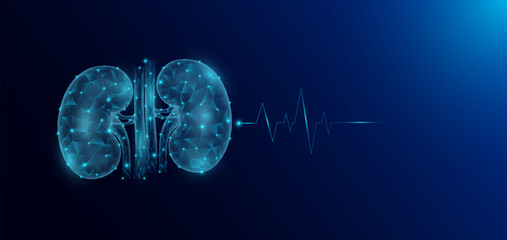Kidney human organ anatomy in form style polygon low poly futuristic and pulse wave glowing. Medical science template banner with empty space for text. Vector EPS10 illustration.