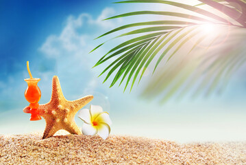 Starfish and palm on the sandy beach. Summer time.