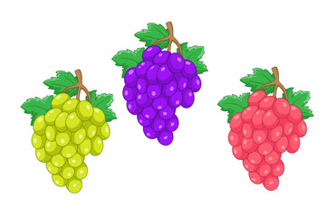 Cartoon set of grapes fruit on white background
