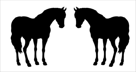 Black silhouette of beautiful horse. Vector equine drawing.	Horses set.