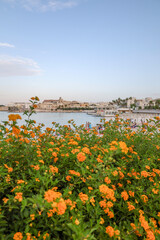 La città di Otranto e Lecce