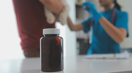 Closeup shot of veterinarian hands checking dog by stethoscope in vet clinic