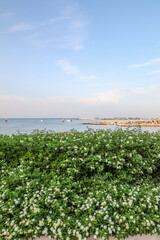 La citt&agrave; di Otranto e Lecce