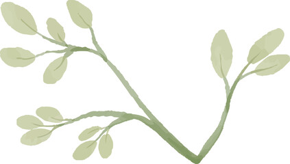 branches and leaves watercolor