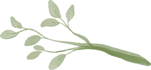 branches and leaves watercolor