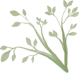branches and leaves watercolor