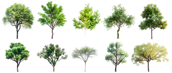 Fototapeta premium set trees with roots isolated on white background