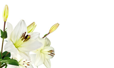 Obraz premium White Lilies with Leaves on corner border, bouquet flower for wedding invitation.