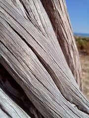 Fototapeta premium old wood texture