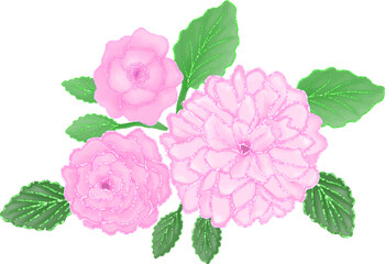 Pink Roses arrangement watercolor