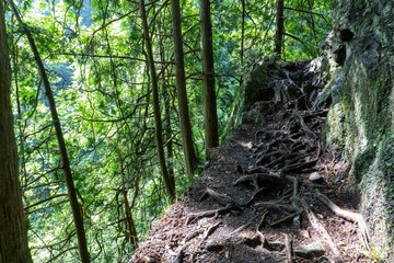 A view of the mountain trail of Bounooreyama going up from Shiratanisawa Ascent from the Shiratanisawa Ascent Yamaguchi