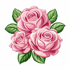 pink-roses-illustration--centifolia-roses-vintage