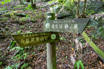 A view of the mountain trail of Bounooreyama going up from Shiratanisawa Ascent from the Shiratanisawa Ascent Yamaguchi