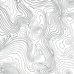 Fototapeta premium Background of the topographic map. Topographic map lines, contour background. Geographic grid, vector abstract