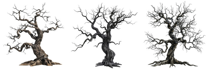 set of haunted tree with twisted branches isolated on transparent background