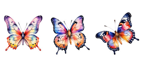 A set of beautiful butterflies on the white background