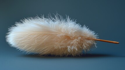 Fluffy white feather meticulously detailed against a smooth blue background reflecting simplicity and purity