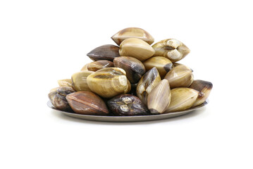Closed up fresh baby clams, venus shell, shellfish, carpet clams, short necked clams, as raw food from the sea are the seafood ingredients. fresh clams isolated on white background.