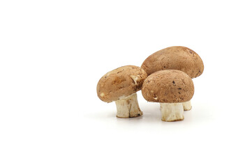 Fresh  champignon mushrooms isolated on a white background.  full depth of field.