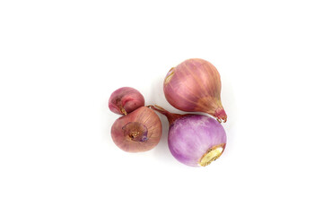 onions on a white background