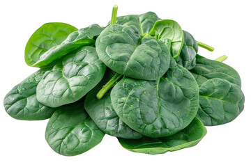 Obraz premium Fresh green spinach leaves piled on a white background, showcasing their vibrant color, texture, and nutritional value.