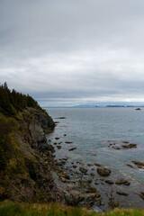 Cliffside views of Newfoundland ocean