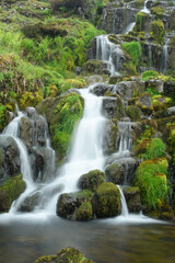 Fototapeta premium Fairy Pools - Skye