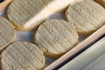 Rocamadour soft goat AOC cheese with soft rind produced on farm in Perigord and Quercy takes its name from village of Rocamadour in departement Lot, France